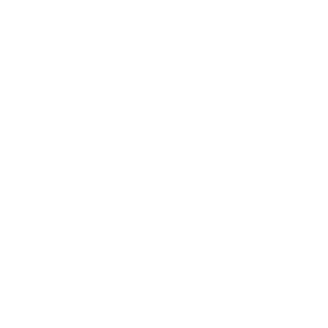 Logo Bluem